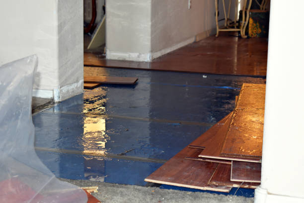Professional Water Damage Restoration technician working in Detroit, OR